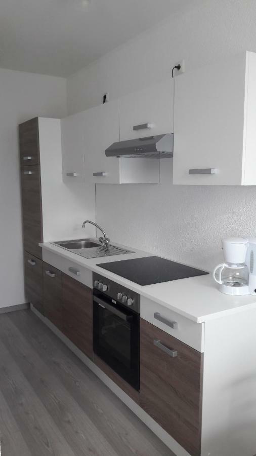 New Look Apartment Frankenberg Екстериор снимка